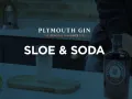 Plymouth Sloe & Soda