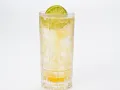 Bermuda Mule