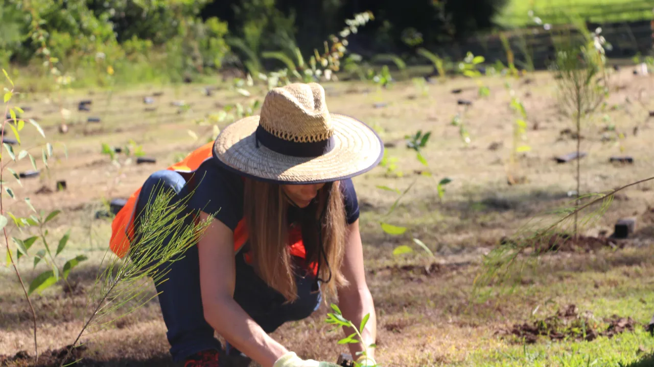 Guest Shift : Wayne Wescott