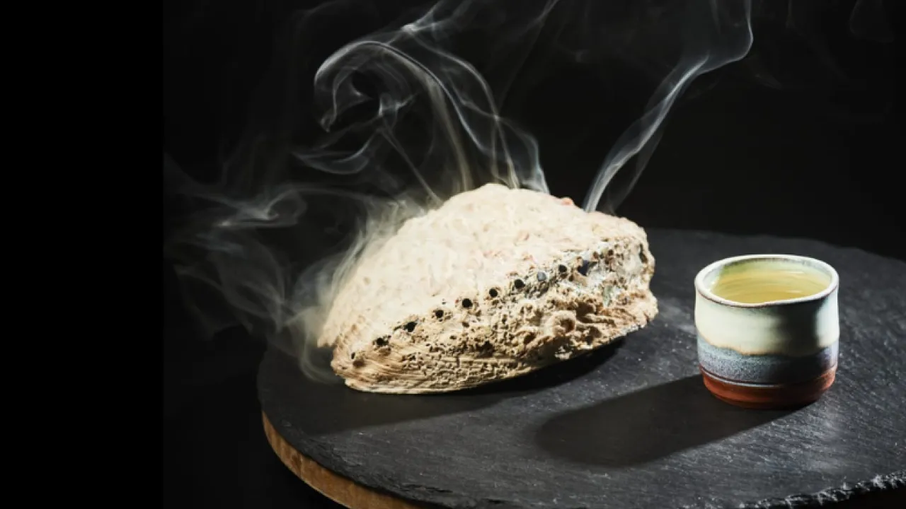 Bird's Nest - Credit Yves Sucksdorf.png