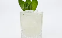 Gin Basil Smash