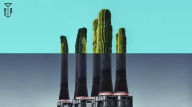 Guest Shift : Wayne Wescott