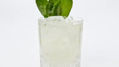 Gin Basil Smash