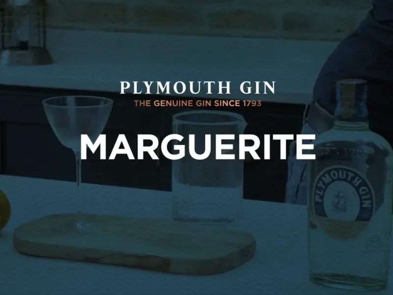 Plymouth Marguerite