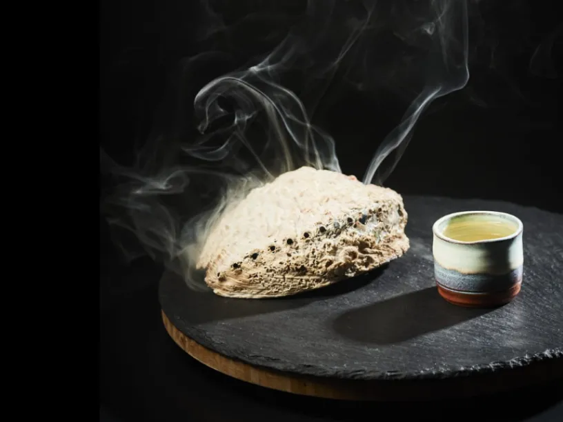 Bird's Nest - Credit Yves Sucksdorf.png