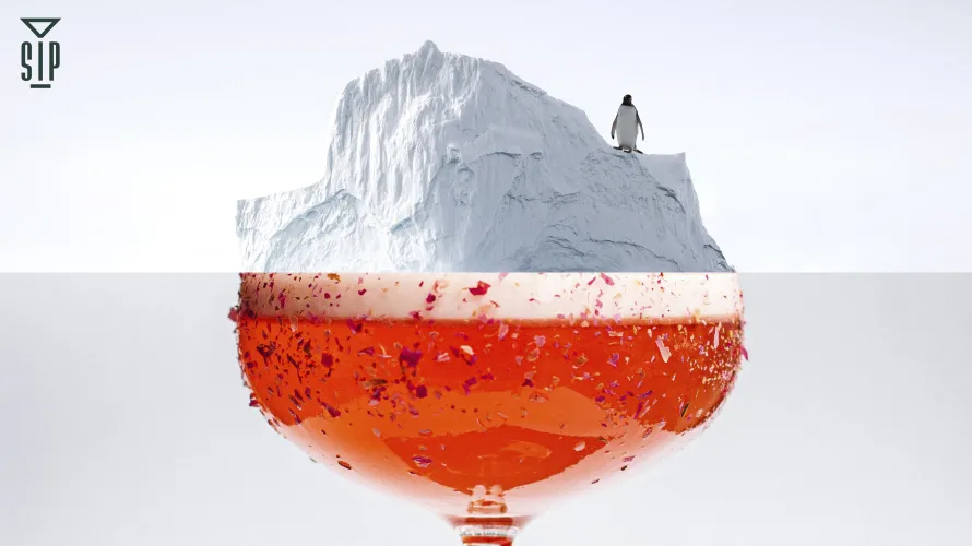 Guest shift: Richard Boccato