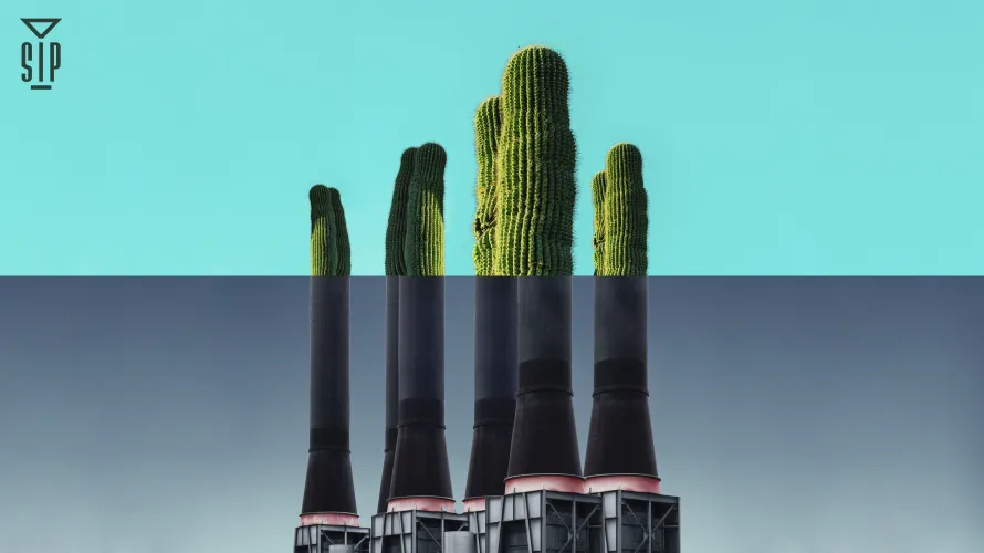 Guest Shift : Wayne Wescott